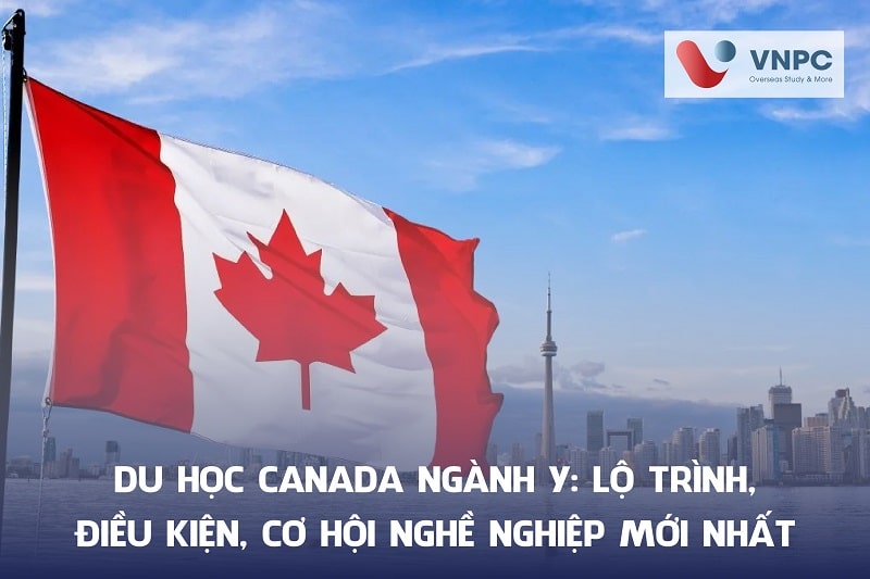 Du học Canada ngành y: Lộ trình, điều kiện, cơ hội nghề nghiệp MỚI NHẤT